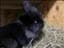 Wings2Fly