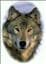 wolfie